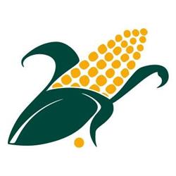 Paviotti Srl