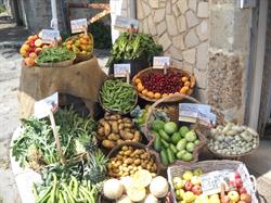 Delizie della campagna di natura biologica, negozio bio Bari Palese