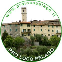 Pro Loco Pelago
