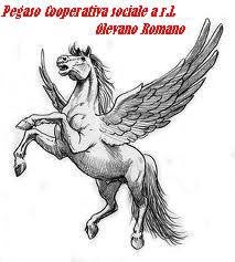 Cooperativa Sociale PEGASO