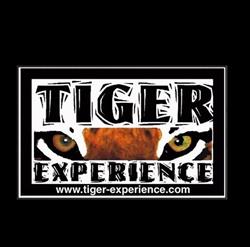 Tiger Experience
