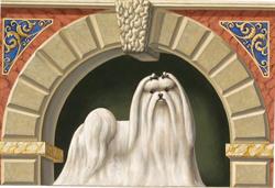 Allevamento dei Prati Verdi