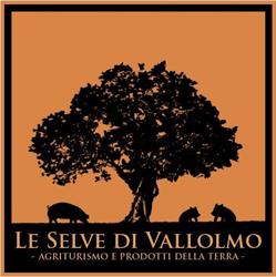 Le Selve di Vallolmo