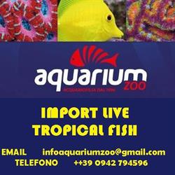 Aquarium Zoo