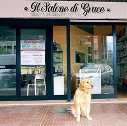 Il Salone Di Grace