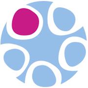 Holostem srl