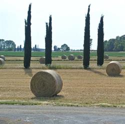 Poggio Campana