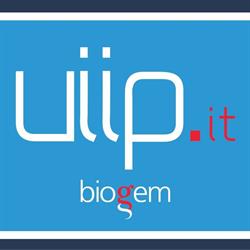UIIP