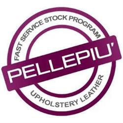 Pellepiù S.r.l.