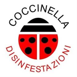 COCCINELLA SRL