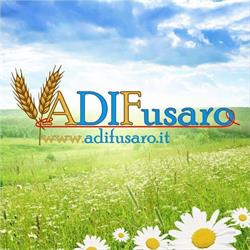ADIFusaro