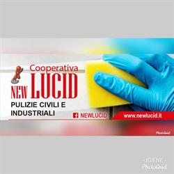 New Lucid
