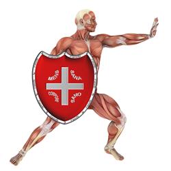 FisioSi