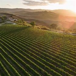 Podere San Giacomo Montalcino