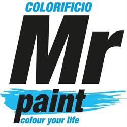 Mister Paint s.r.l.