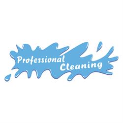 Professional Cleaning di Vincenzo Triveri