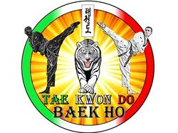 ASD Taekwondo Baek Ho - Cesenatico