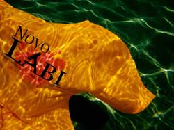 Laboratorio Analisi e Consulenze Novolabi s.a.s.