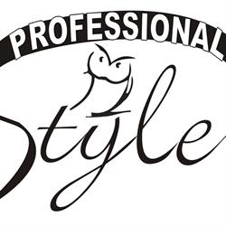 Professional Style di Andrea Soldati