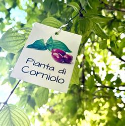 Confraternita della Corniola Cornedese DE.CO.