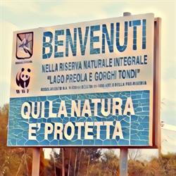 R.N.I. Lago Preola e Gorghi Tondi