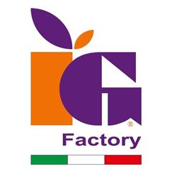 IG Factory