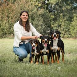 Ca' del Corsi -Allevamento Lagotto Romagnolo e Bovaro dell'Appenzell