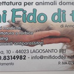 Mi Fido di Te di Anna Chiodi