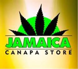 JAMAICA CANAPA STORE S.R.L.