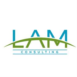 LAM Consulting srl SB