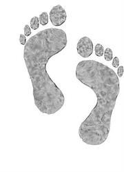 Studio di podologia Piedi Per Terra