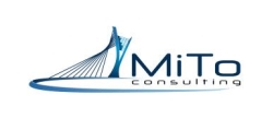 MiTo Consulting di Massimiliano De Bonis