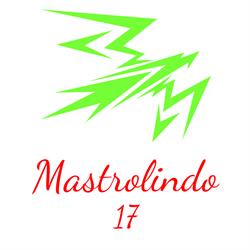 Mastrolindo 17 Imprese Di Pulizia Novara