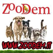 Zoodem