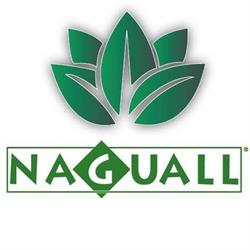 Verde Voglio Sas