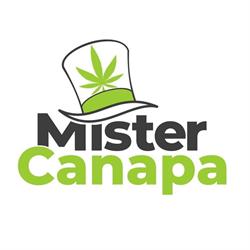 Mister Canapa