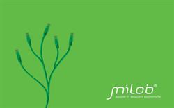 MILOB.IT di Bellesia Milo