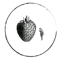 Emporio Ultrafragola