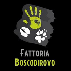 Fattoria Boscodirovo