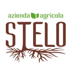 Azienda Agricola Stelo