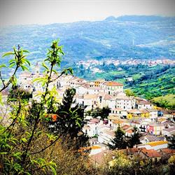 Associazione Pro-Loco