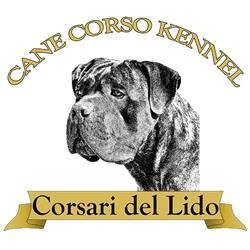 Allevamento Cane Corso dei Corsari del Lido