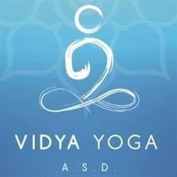 Vidya Yoga