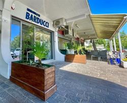 Immobiliare Barducci