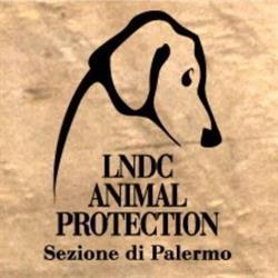 Lega del Cane Palermo