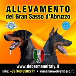 Allevamento del Gran Sasso d'Abruzzo - Dobermann Italy