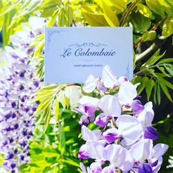 Le Colombaie
