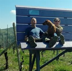 Affittacamere Stay Bel Piemonte