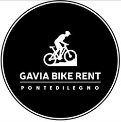 Gavia Bike Holidays
