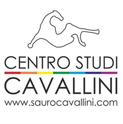 Centro Studi Sauro Cavallini